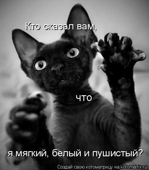 Котоматрица: Кто сказал вам,  я мягкий, белый и пушистый? что