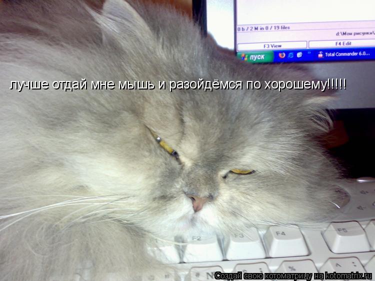 лучше отдай мне мышь и разойдёмся по хорошему!!!!!... Котоматрица: лучше отдай мне мышь и разойдёмся по хорошему!!!!!