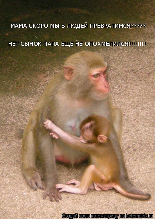 Котоматрица: МАМА СКОРО МЫ В ЛЮДЕЙ ПРЕВРАТИМСЯ????? НЕТ СЫНОК ПАПА ЕЩЕ НЕ ОПОХМЕЛИЛСЯ!!!!!!!!