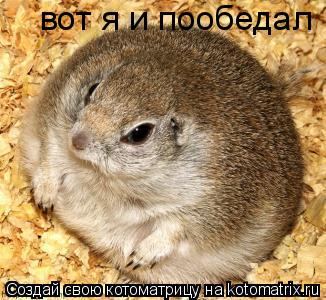 вот я и пообедал... Котоматрица: вот я и пообедал