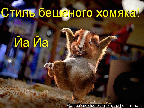 Котоматрица: Стиль бешеного хомяка! Йа Йа