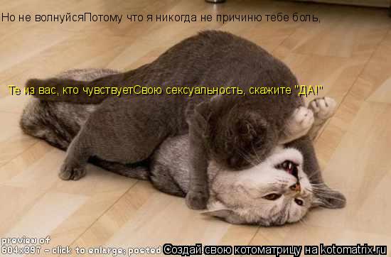 Но не волнуйсяПотому что я никогда не причиню тебе боль, Те из вас, кто чувствуетСвою сексуальность,... Котоматрица: Но не волнуйсяПотому что я никогда не причиню тебе боль, Те из вас, кто чувствуетСвою сексуальность, скажите "ДА!"