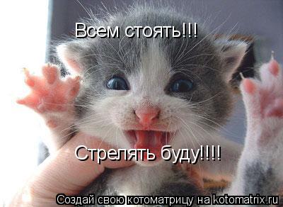 Всем стоять!!! Стрелять буду!!!!... Котоматрица: Всем стоять!!! Стрелять буду!!!!