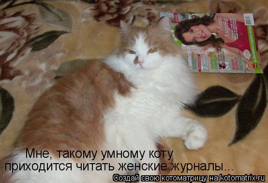 Котоматрица: Мне, такому умному коту приходится читать женские журналы...