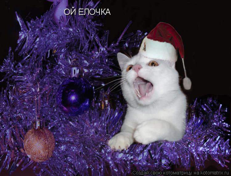 Котоматрица: ОЙ ЕЛОЧКА