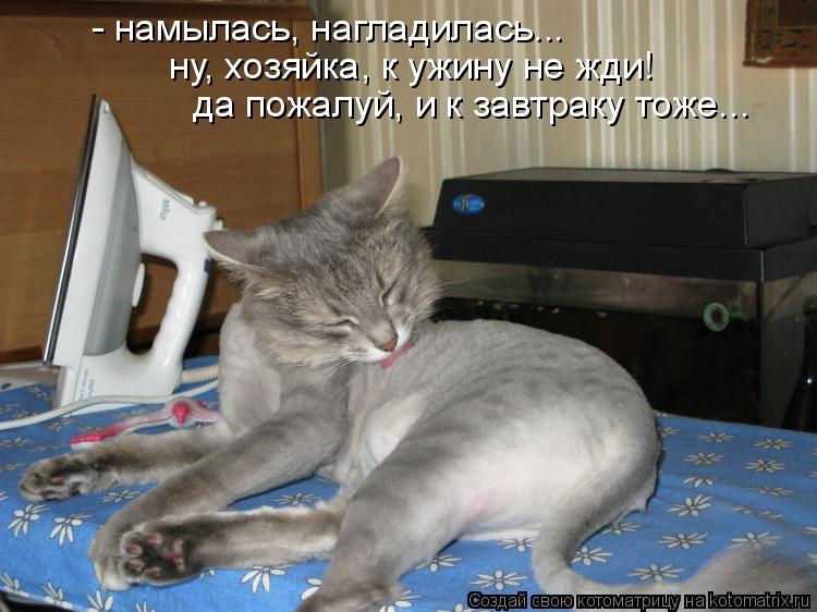 Котоматрица: - намылась, нагладилась... ну, хозяйка, к ужину не жди! да пожалуй, и к завтраку тоже...