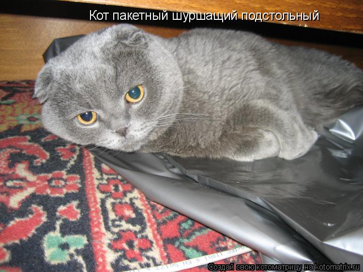 Кот пакетный шуршащий подстольный... Котоматрица: Кот пакетный шуршащий подстольный