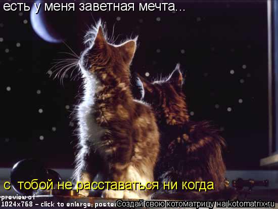 есть у меня заветная мечта... с тобой не расставаться ни когда... Котоматрица: есть у меня заветная мечта... с тобой не расставаться ни когда