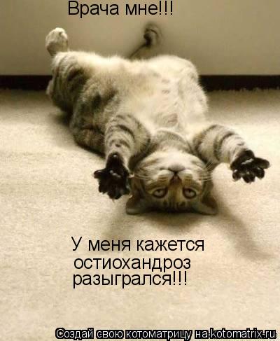 Врача мне!!! У меня кажется остиохандроз разыгрался!!!... Котоматрица: Врача мне!!! У меня кажется остиохандроз разыгрался!!!