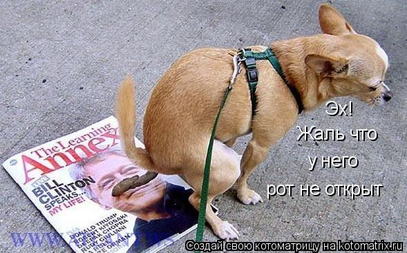 Эх! Жаль что у него рот не открыт... Котоматрица: Эх! Жаль что у него рот не открыт