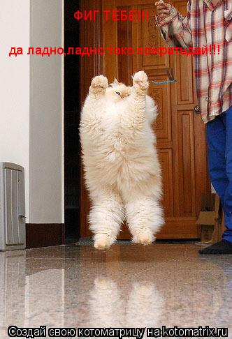 Котоматрица: да ладно,ладно токо пожратьдай!!! ФИГ ТЕБЕ!!!