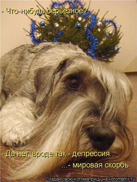 Котоматрица: - Что-нибудь серьезное?  - Да нет, вроде так - депрессия... ...- мировая скорбь