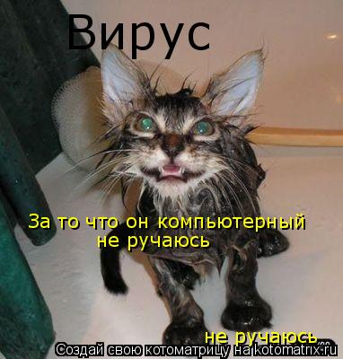 Котоматрица: Вирус За то что он компьютерный не ручаюсь не ручаюсь