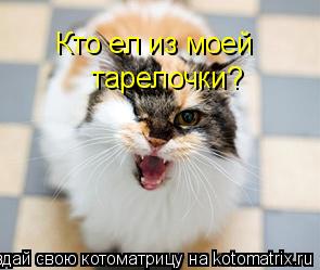 Котоматрица: Кто ел из моей  тарелочки?