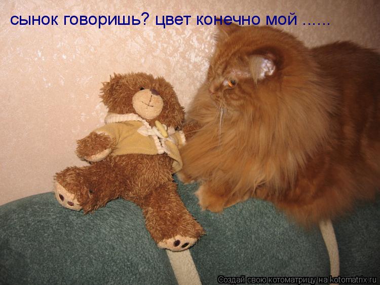 сынок говоришь? цвет конечно мой ......... Котоматрица: сынок говоришь? цвет конечно мой ......