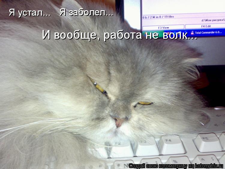 Я устал... Я заболел... И вообще, работа не волк...... Котоматрица: Я устал... Я заболел... И вообще, работа не волк...