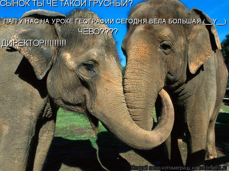 Котоматрица: СЫНОК ТЫ ЧЕ ТАКОЙ ГРУСНЫЙ? ПАП У НАС НА УРОКЕ ГЕОГРАФИИ СЕГОДНЯ ВЕЛА БОЛЬШАЯ (__Y__) ДИРЕКТОР!!!!!!!!! ЧЕВО????