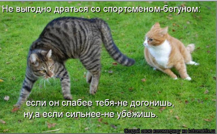 Не выгодно драться со спортсменом-бегуном: если он слабее тебя-не догонишь, ну,а если сильнее-не убеж... Котоматрица: Не выгодно драться со спортсменом-бегуном: если он слабее тебя-не догонишь, ну,а если сильнее-не убежишь.