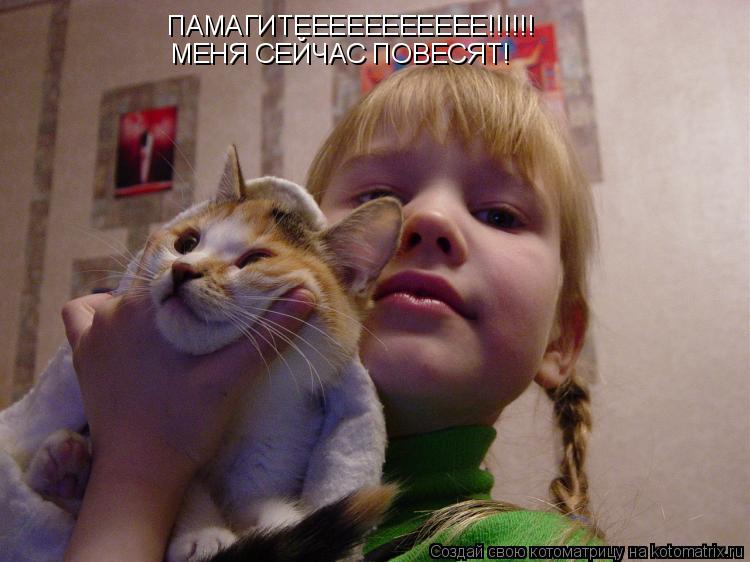 ПАМАГИТЕЕЕЕЕЕЕЕЕЕЕ!!!!!! МЕНЯ СЕЙЧАС ПОВЕСЯТ!... Котоматрица: ПАМАГИТЕЕЕЕЕЕЕЕЕЕЕ!!!!!! МЕНЯ СЕЙЧАС ПОВЕСЯТ!