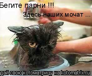 Котоматрица: Бегите парни !!! Здесь наших мочат ...