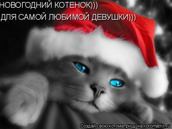 НОВОГОДНИЙ КОТЕНОК))) ДЛЯ САМОЙ ЛЮБИМОЙ ДЕВУШКИ)))... Котоматрица: НОВОГОДНИЙ КОТЕНОК))) ДЛЯ САМОЙ ЛЮБИМОЙ ДЕВУШКИ)))