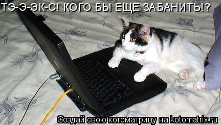 ТЭ-Э-ЭК-С! КОГО БЫ ЕЩЕ ЗАБАНИТЬ!?... Котоматрица: ТЭ-Э-ЭК-С! КОГО БЫ ЕЩЕ ЗАБАНИТЬ!?