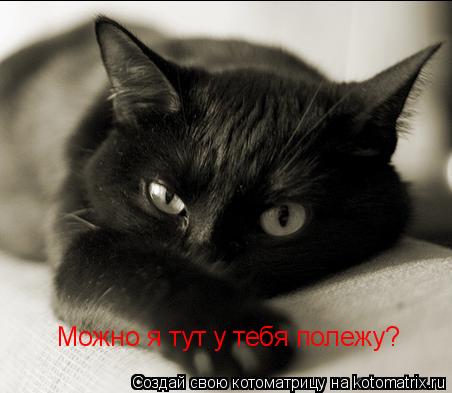 Можно я тут у тебя полежу?... Котоматрица: Можно я тут у тебя полежу?
