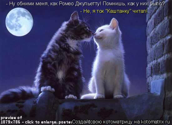 - Ну обними меня, как Ромео Джульетту! Помнишь, как у них было? - Не, я ток "Каштанку" читал!..... Котоматрица: - Ну обними меня, как Ромео Джульетту! Помнишь, как у них было? - Не, я ток "Каштанку" читал!..
