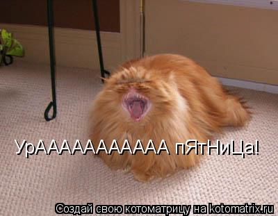 Котоматрица: УрААААААААААА пЯтНиЦа!