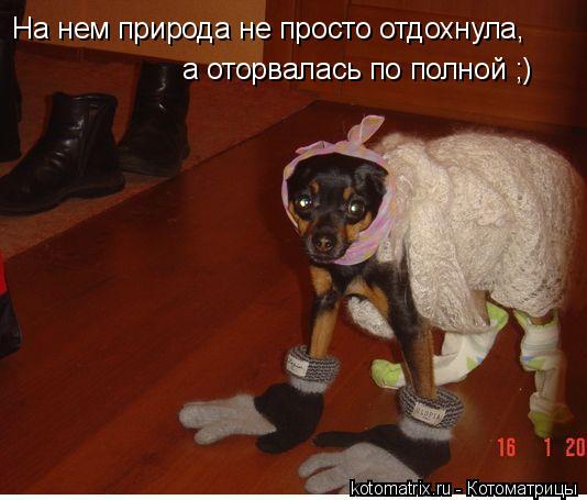 Котоматрица: На нем природа не просто отдохнула, а оторвалась по полной ;)