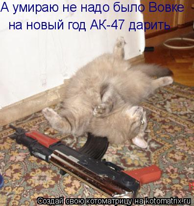 Котоматрица: А умираю не надо было Вовке  на новый год АК-47 дарить