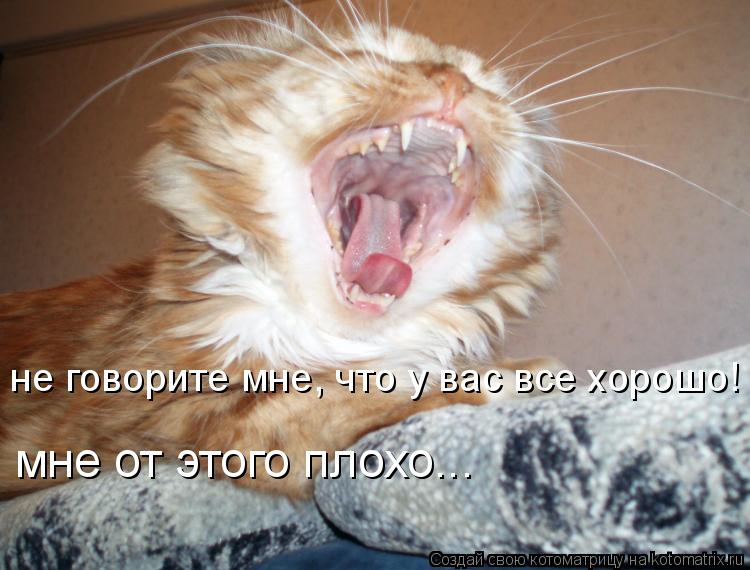 Котоматрица: не говорите мне, что у вас все хорошо! мне от этого плохо...