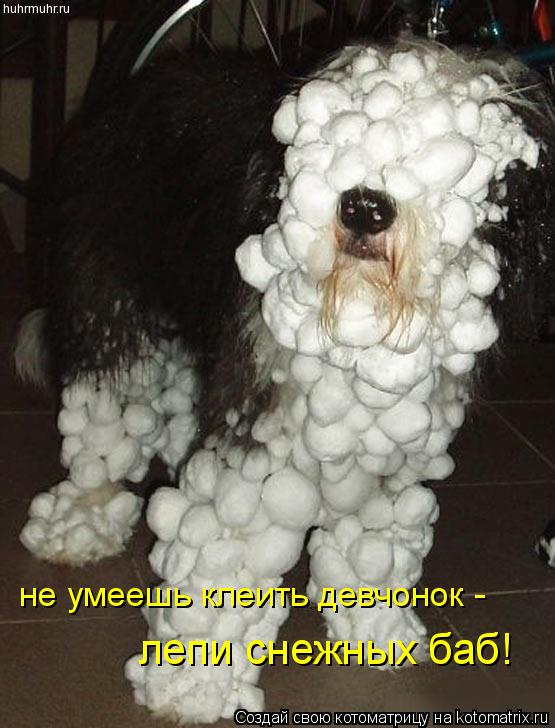 Котоматрица: лепи снежных баб! не умеешь клеить девчонок -