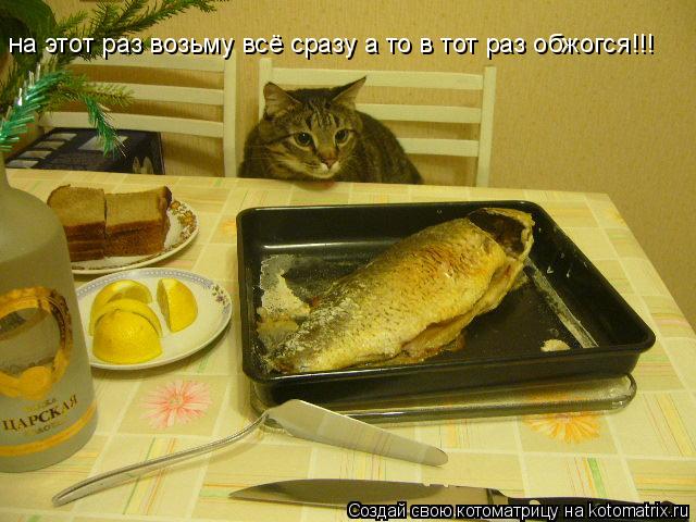 на этот раз возьму всё сразу а то в тот раз обжогся!!!... Котоматрица: на этот раз возьму всё сразу а то в тот раз обжогся!!!
