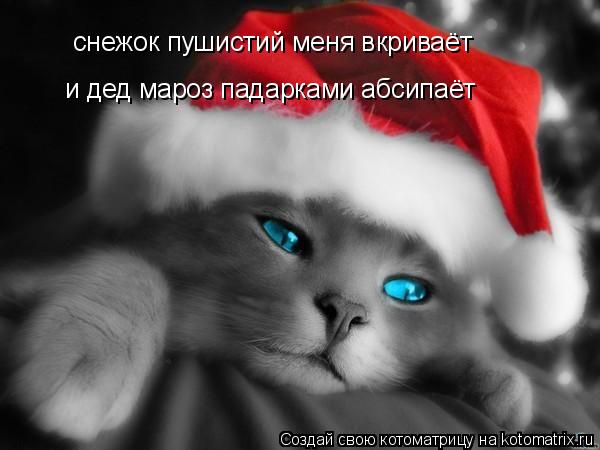 снежок пушистий меня вкриваёт и дед мароз падарками абсипаёт... Котоматрица: снежок пушистий меня вкриваёт и дед мароз падарками абсипаёт