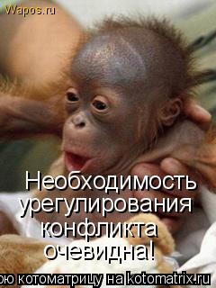 Котоматрица: Необходимость урегулирования конфликта очевидна!