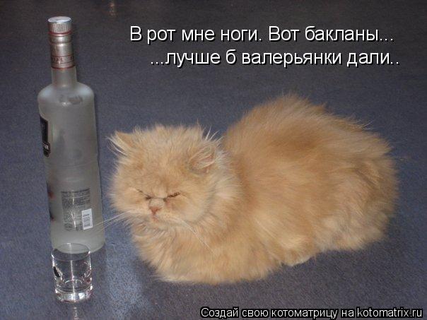 В рот мне ноги. Вот бакланы... ...лучше б валерьянки дали..... Котоматрица: В рот мне ноги. Вот бакланы... ...лучше б валерьянки дали..
