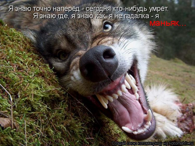 Котоматрица: Я знаю точно наперёд - сегодня кто-нибудь умрёт. Я знаю где, я знаю как, я не гадалка - я  маньяк...