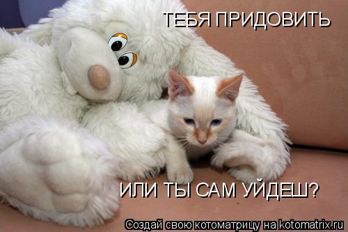 Котоматрица: ТЕБЯ ПРИДОВИТЬ  ИЛИ ТЫ САМ УЙДЕШ?