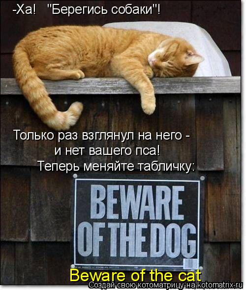 -Ха! "Берегись собаки"! Только раз взглянул на него - и нет вашего пса! Теперь меняйте табличку: B... Котоматрица: -Ха! "Берегись собаки"! Только раз взглянул на него - и нет вашего пса! Теперь меняйте табличку: Beware of the cat