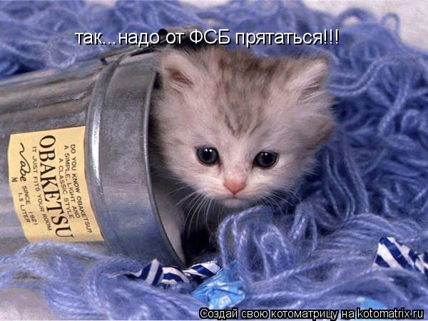 так...надо от ФСБ прятаться!!!... Котоматрица: так...надо от ФСБ прятаться!!!