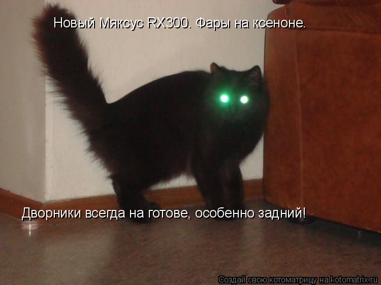 Котоматрица: Новый Мяксус RX300. Фары на ксеноне.  Дворники всегда на готове, особенно задний!