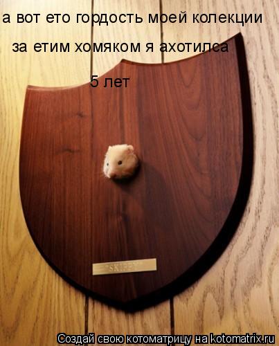 а вот ето гордость моей колекции за етим хомяком я ахотилса 5 лет... Котоматрица: а вот ето гордость моей колекции за етим хомяком я ахотилса 5 лет