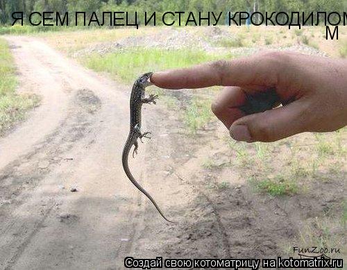 Я СЕМ ПАЛЕЦ И СТАНУ КРОКОДИЛОМ М... Котоматрица: Я СЕМ ПАЛЕЦ И СТАНУ КРОКОДИЛОМ М