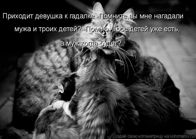 Приходит девушка к гадалке -Помните,вы мне нагадали мужа и троих детей? -Помню -Трое детей уже есть,... Котоматрица: Приходит девушка к гадалке -Помните,вы мне нагадали мужа и троих детей? -Помню -Трое детей уже есть, а муж когда будет?