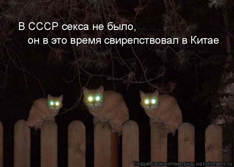 Котоматрица: В СССР секса не было, он в это время свирепствовал в Китае