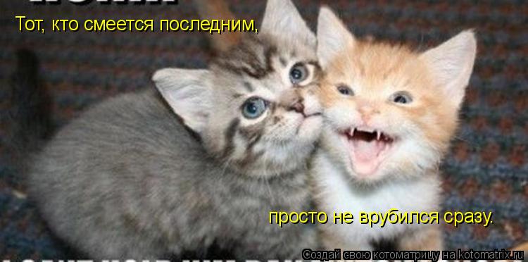 Котоматрица: Тот, кто смеется последним, просто не врубился сразу.