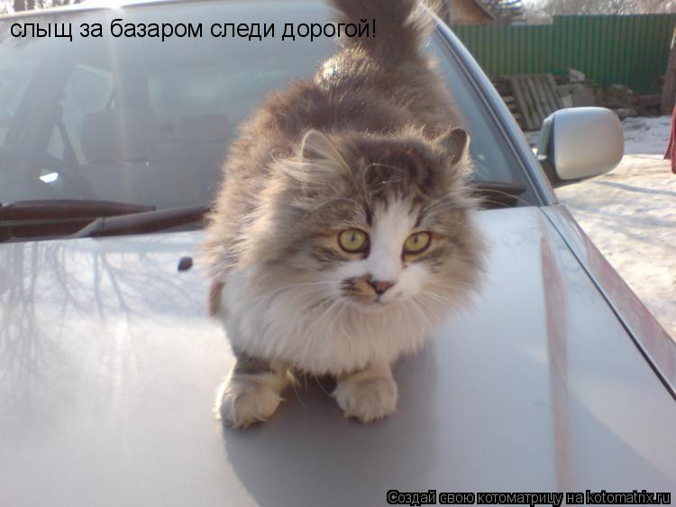 слыщ за базаром следи дорогой!... Котоматрица: слыщ за базаром следи дорогой!