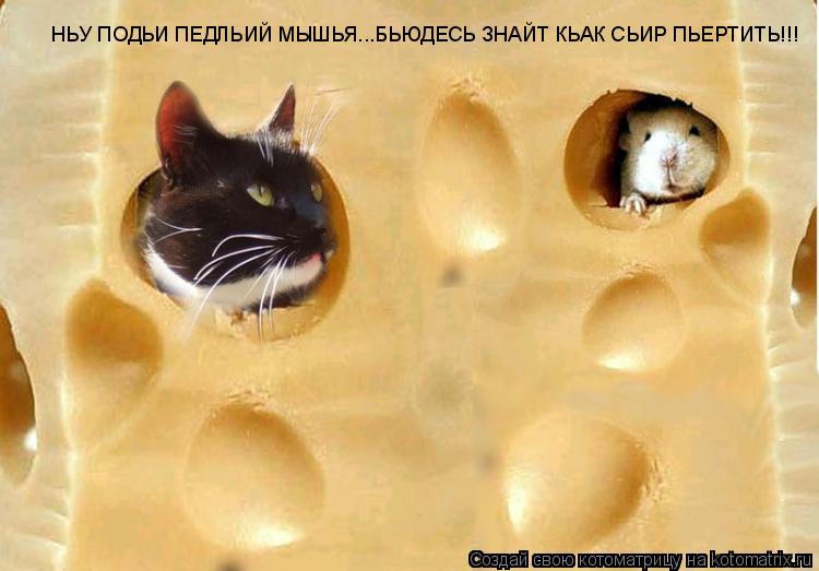 Котоматрица: НЬУ ПОДЬИ ПЕДЛЬИЙ МЫШЬЯ...БЬЮДЕСЬ ЗНАЙТ КЬАК СЬИР ПЬЕРТИТЬ!!!