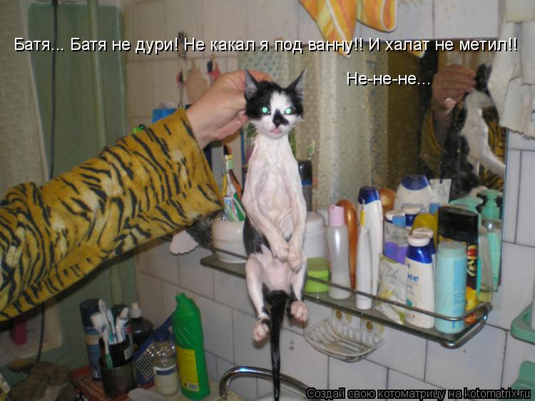Батя... Батя не дури! Не какал я под ванну!! И халат не метил!! Не-не-не...... Котоматрица: Батя... Батя не дури! Не какал я под ванну!! И халат не метил!! Не-не-не...